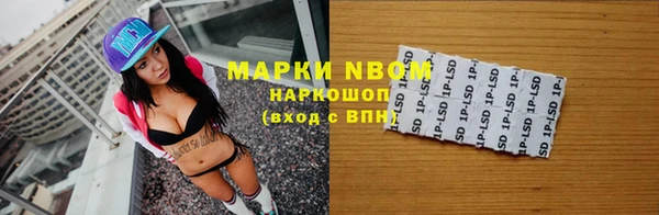 прущие грибы Бугульма