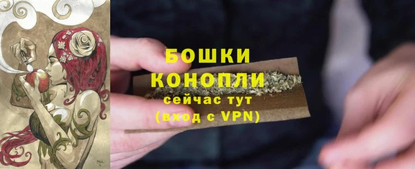 прущие грибы Бугульма