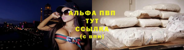 прущие грибы Бугульма