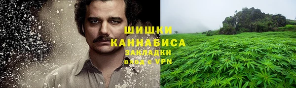 прущие грибы Бугульма