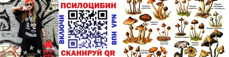 Псилоцибиновые грибы Psilocybe  купить   Верхотурье 
